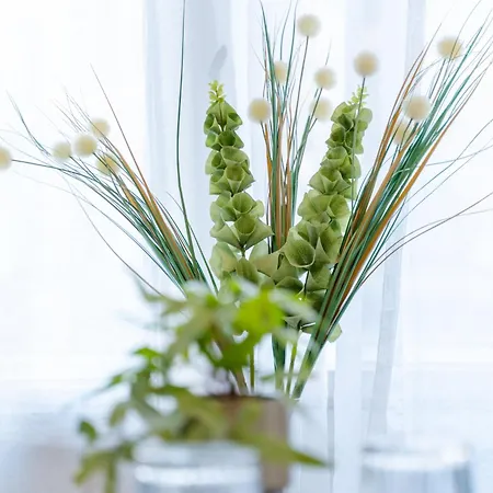 Hama Boutique * 布达佩斯